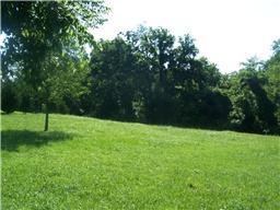 0 Aymett Ridge Road Pulaski, TN 38478 - Photo 2 of 3 Gallery Image 2