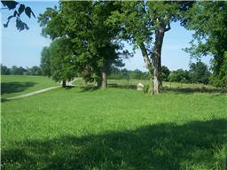 0 Aymett Ridge Road Pulaski, TN 38478 - Photo 3 of 3 Gallery Image 3