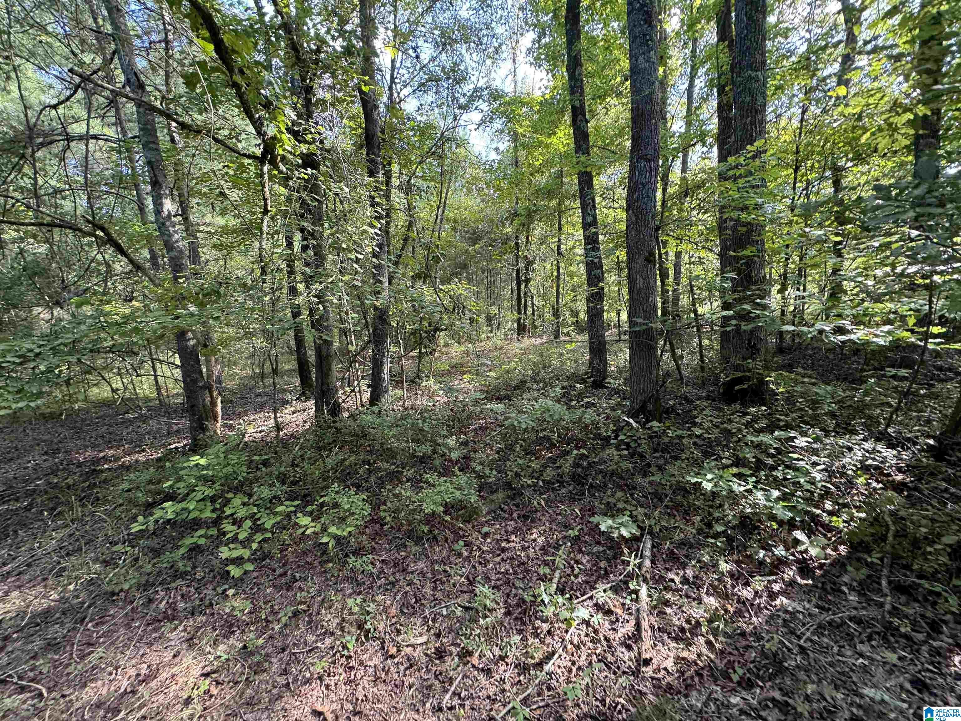 20394 County Road 55 Sterrett, AL 35147 - Photo 18 of 43