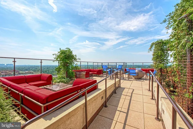 a view of a park with plants and trees
