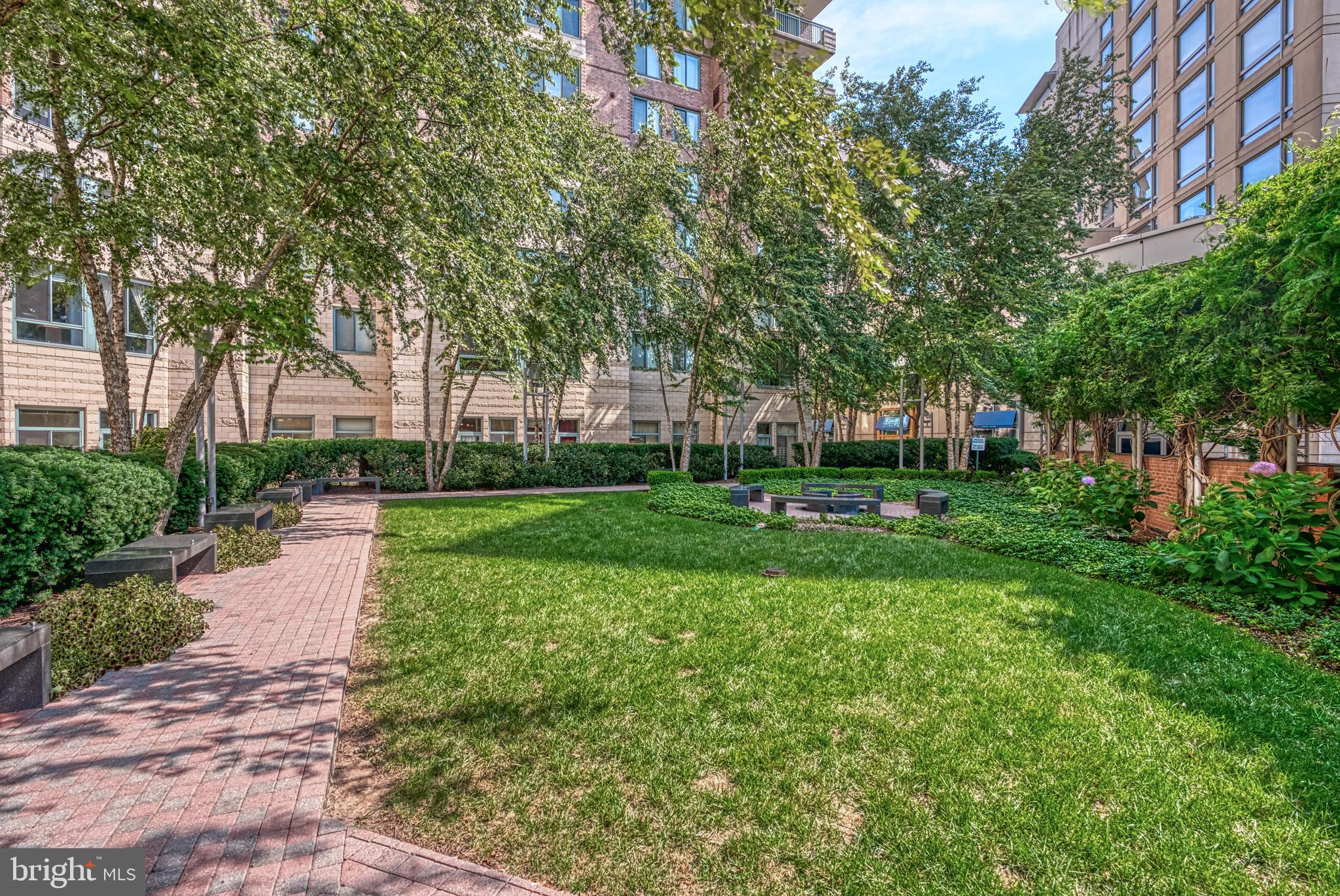 851 North Glebe Road, Unit 1514 Arlington, VA 22203 - Photo 43 of 47 a view of a park with plants and trees