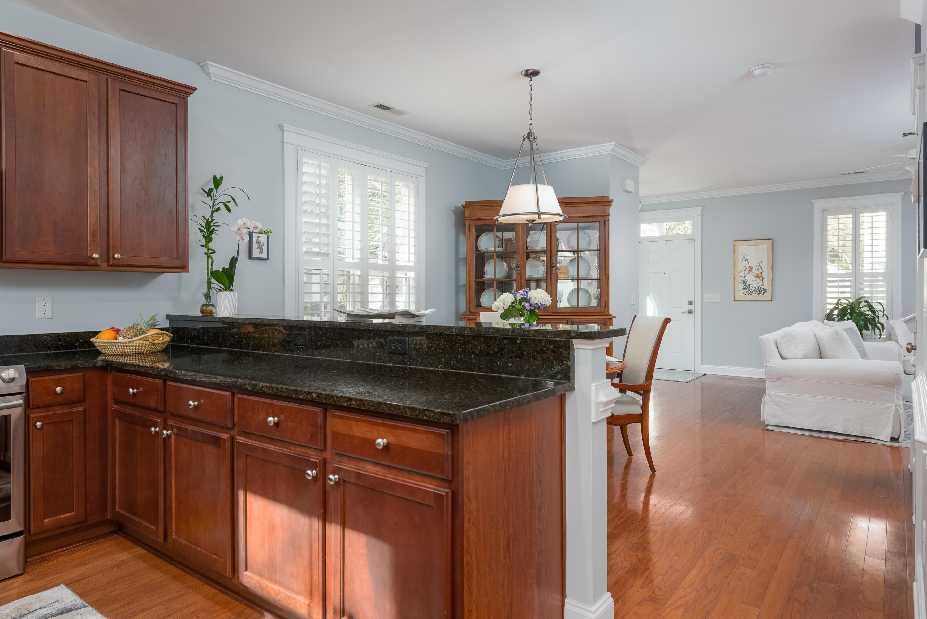 2813 Caitlin's Way Mount Pleasant, SC 29466 - Photo 15 of 46 Kitchen and Dining Areas