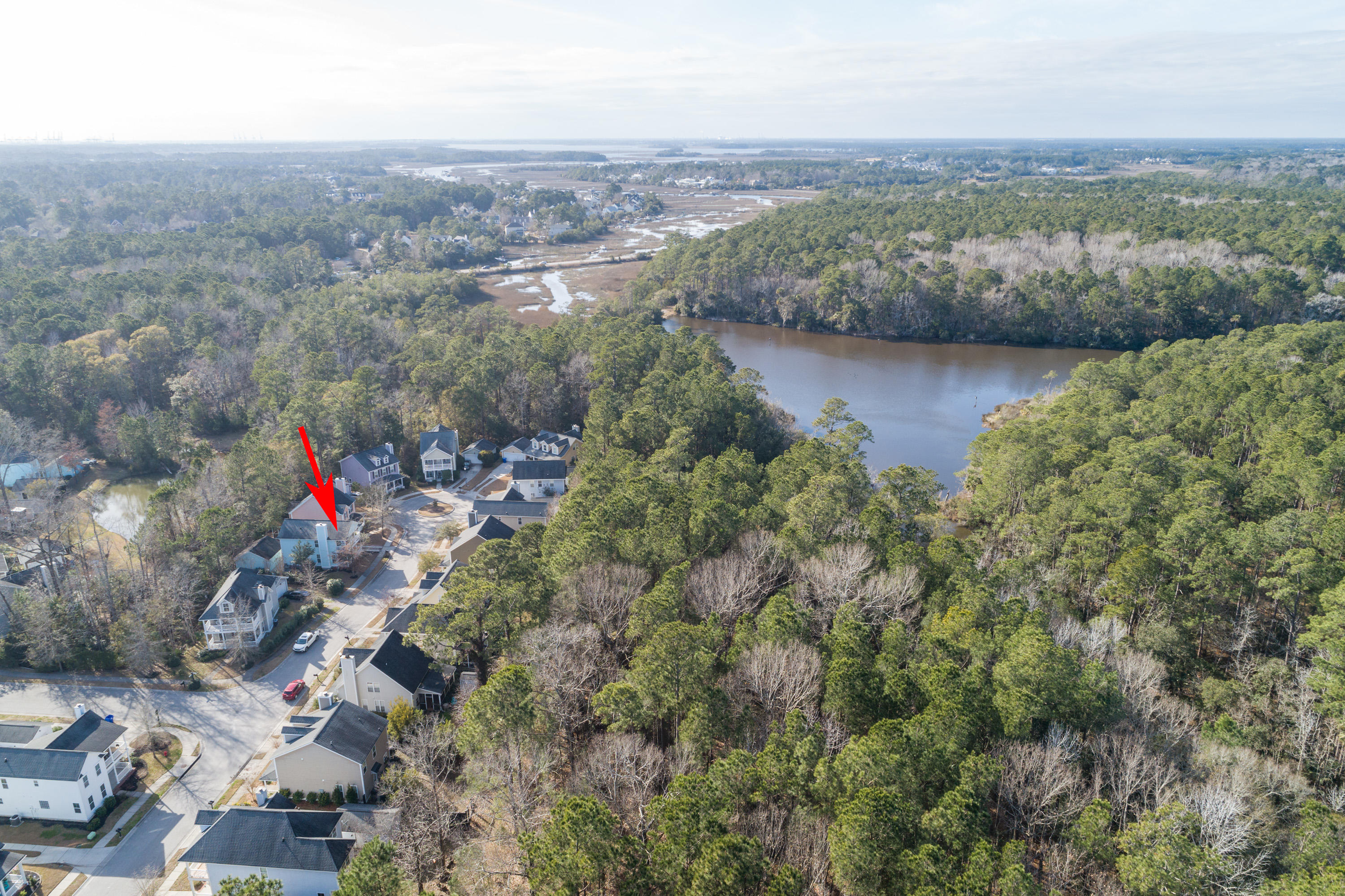 2813 Caitlin's Way Mount Pleasant, SC 29466 - Photo 40 of 46 Aerial View