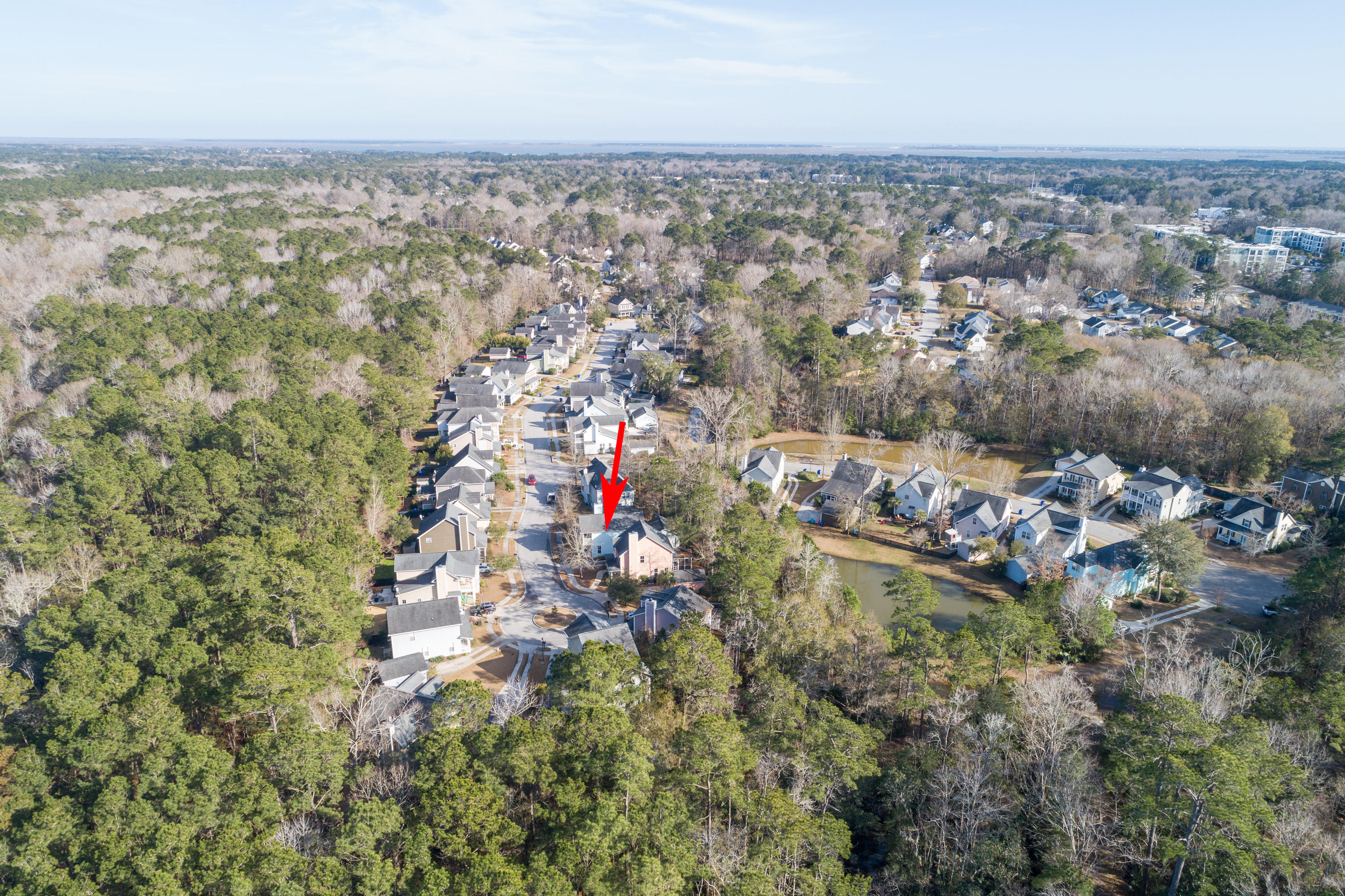 2813 Caitlin's Way Mount Pleasant, SC 29466 - Photo 41 of 46 Carol Oaks Aerial View