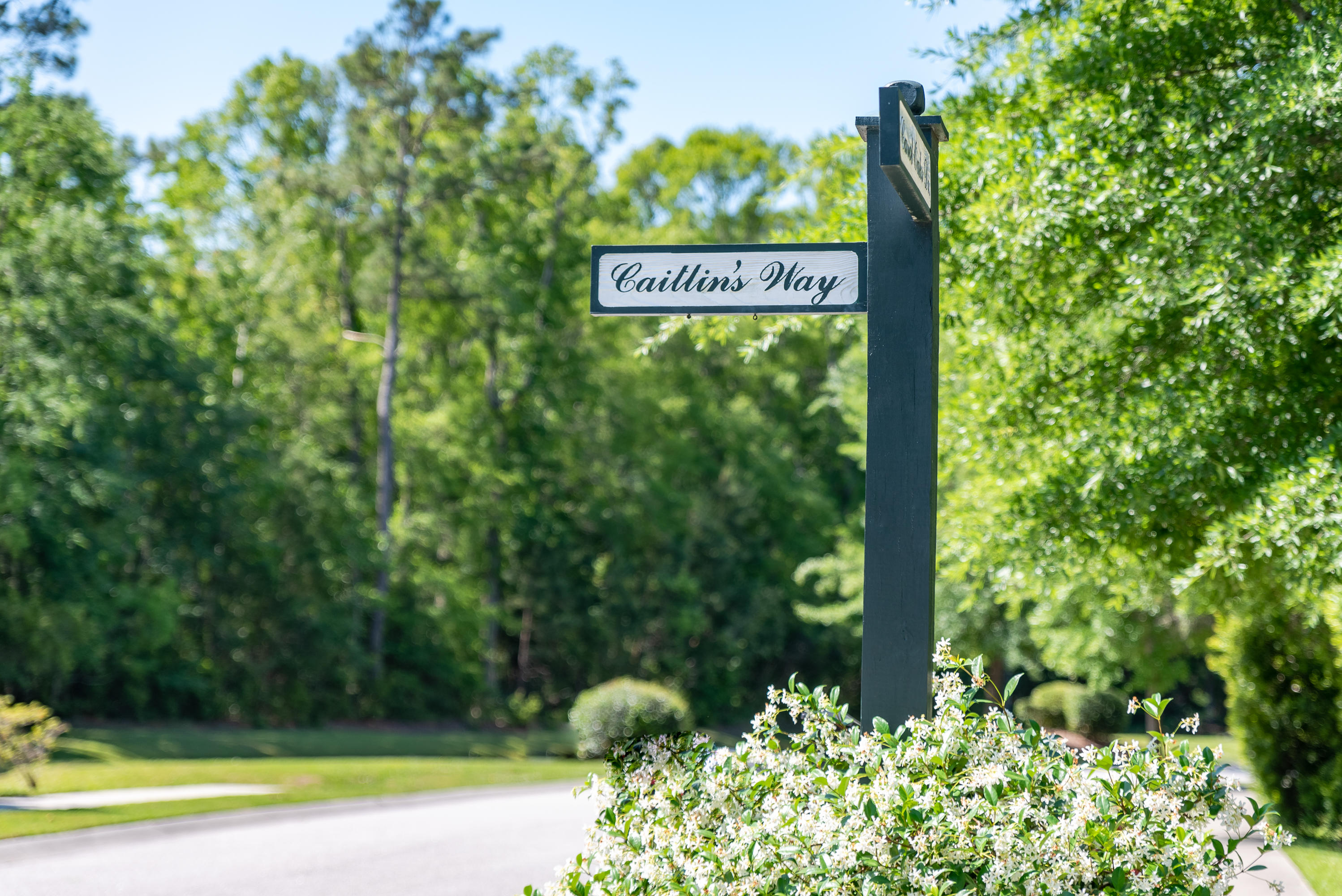 2813 Caitlin's Way Mount Pleasant, SC 29466 - Photo 44 of 46 Caitlins Way Sign