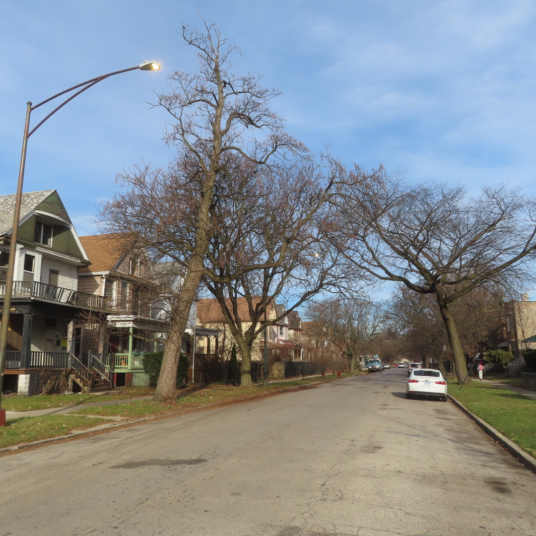 7046 South Normal Boulevard Chicago, IL 60621 - Photo 39 of 41