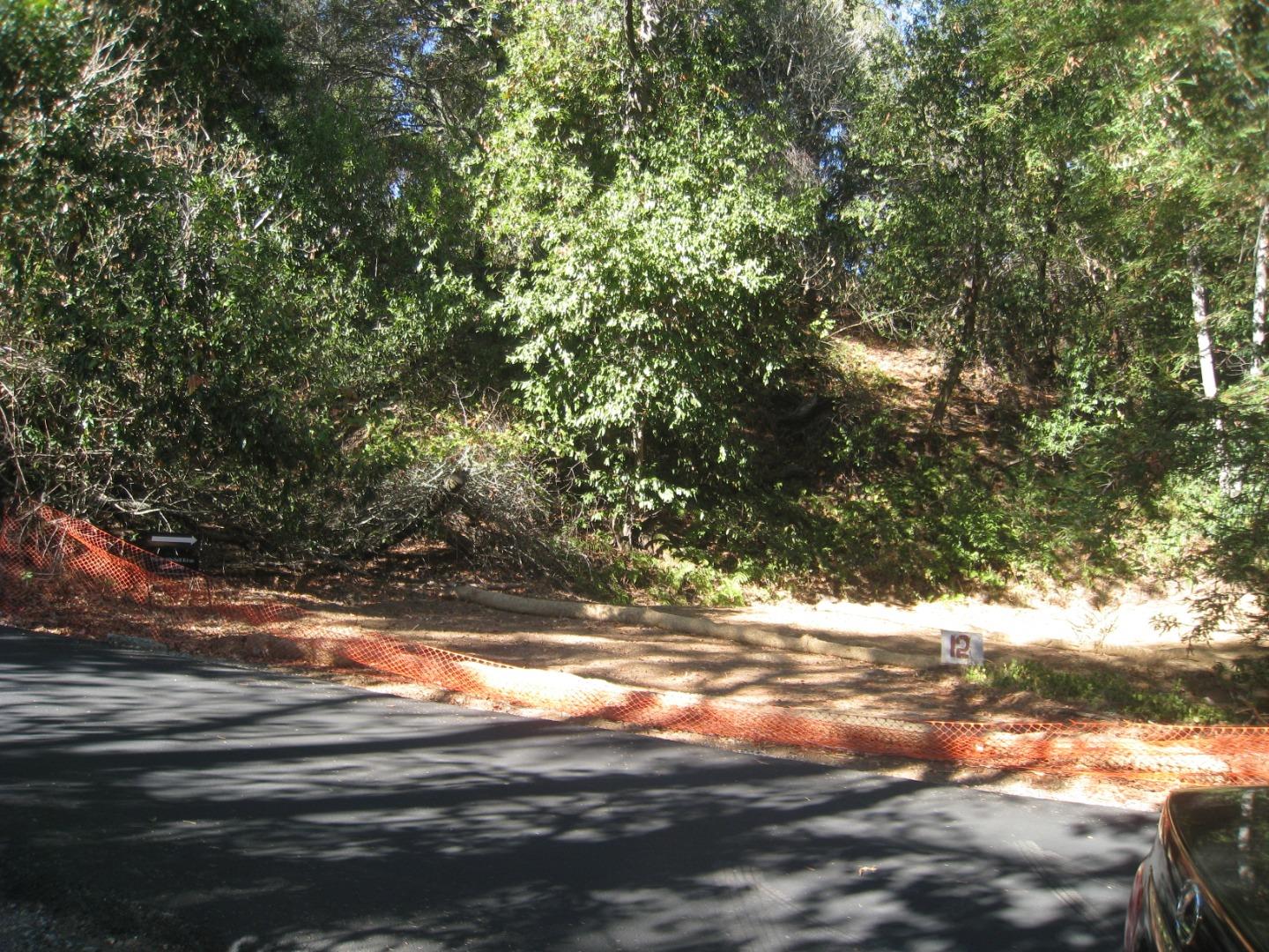 a view of yard with tree