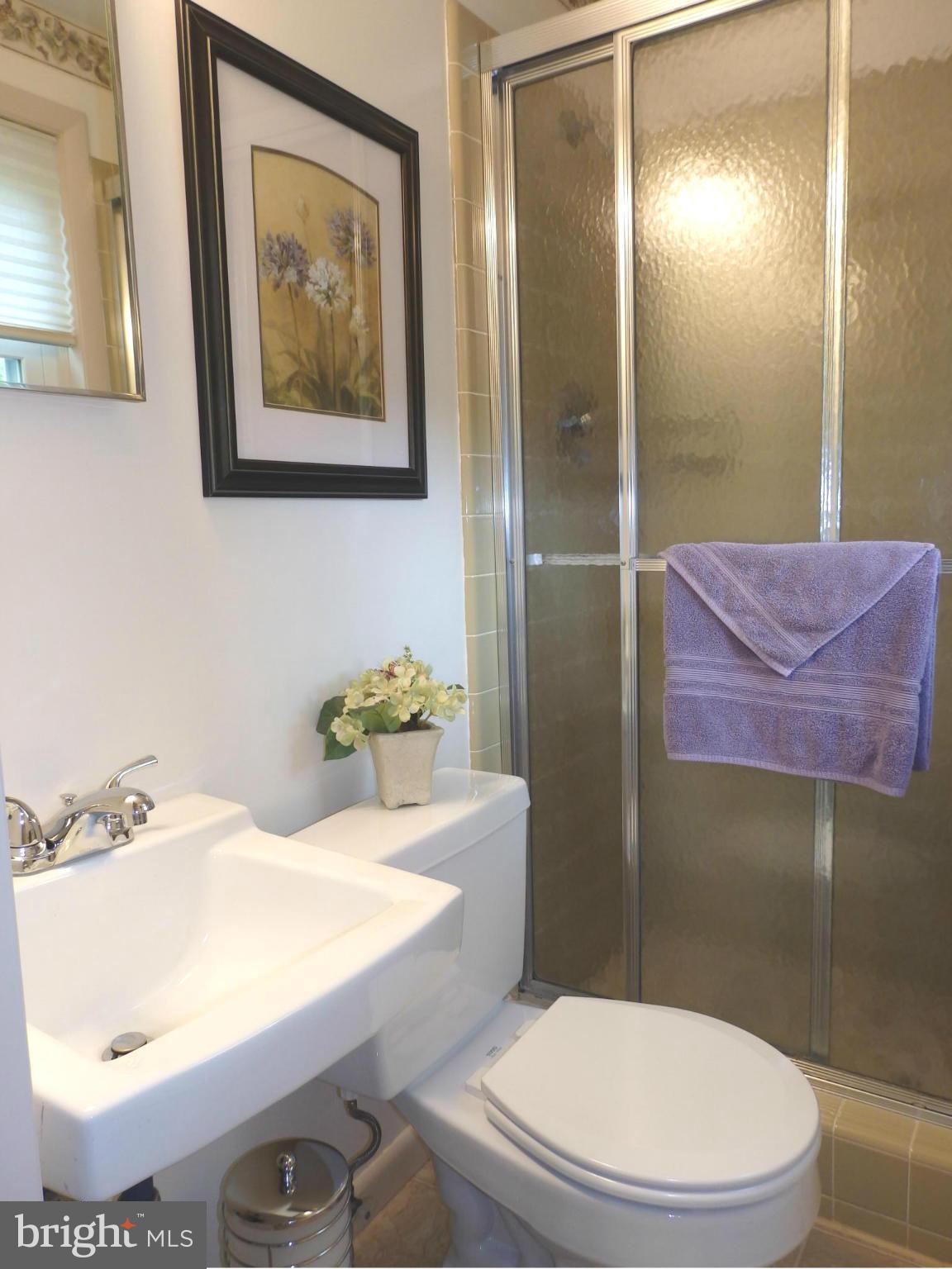7940 Edgewood Farm Road Frederick, MD 21702 - Photo 21 of 30 Full bath on lower level
