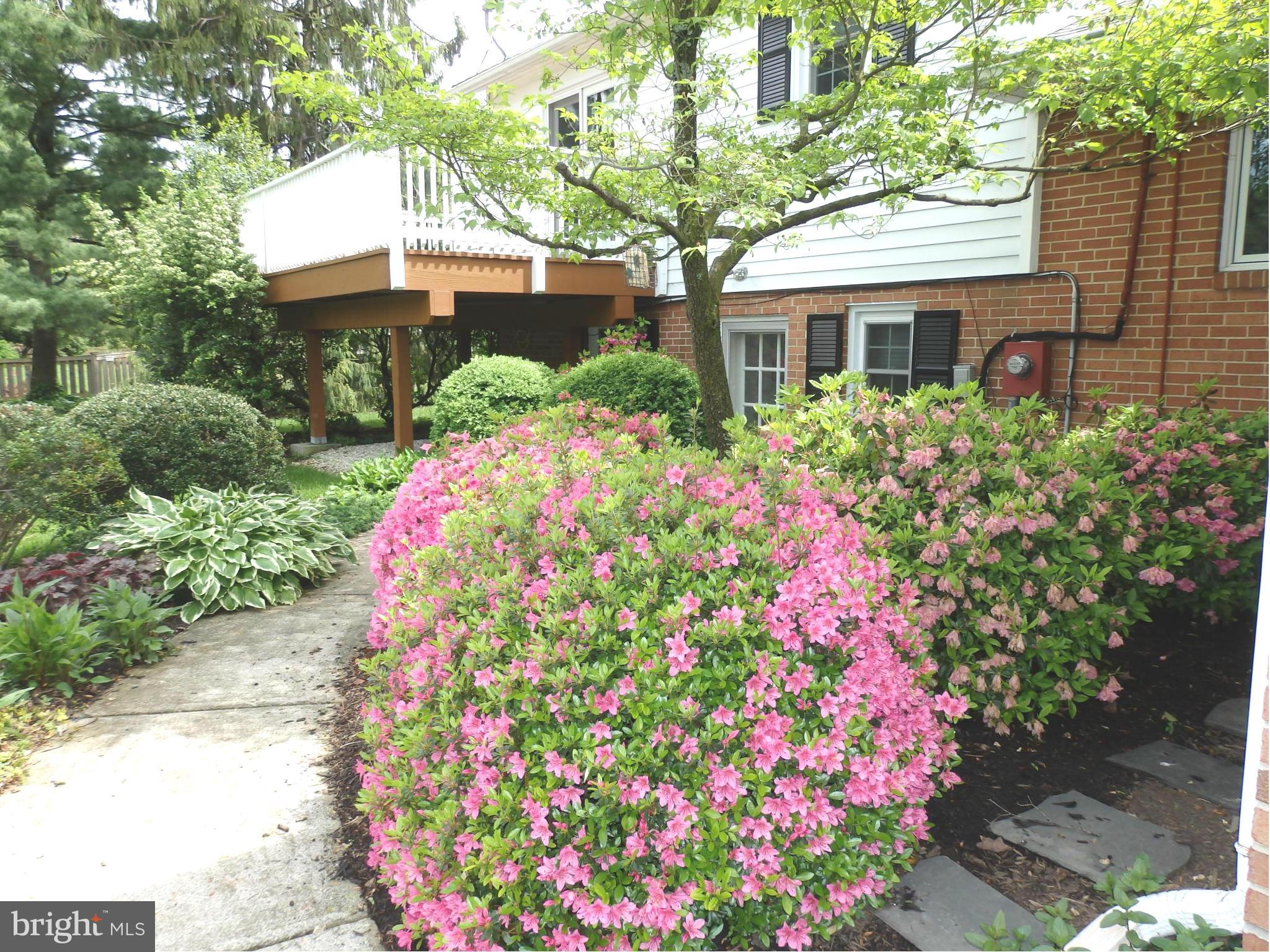7940 Edgewood Farm Road Frederick, MD 21702 - Photo 28 of 30 Beautiful azaleas in back yard