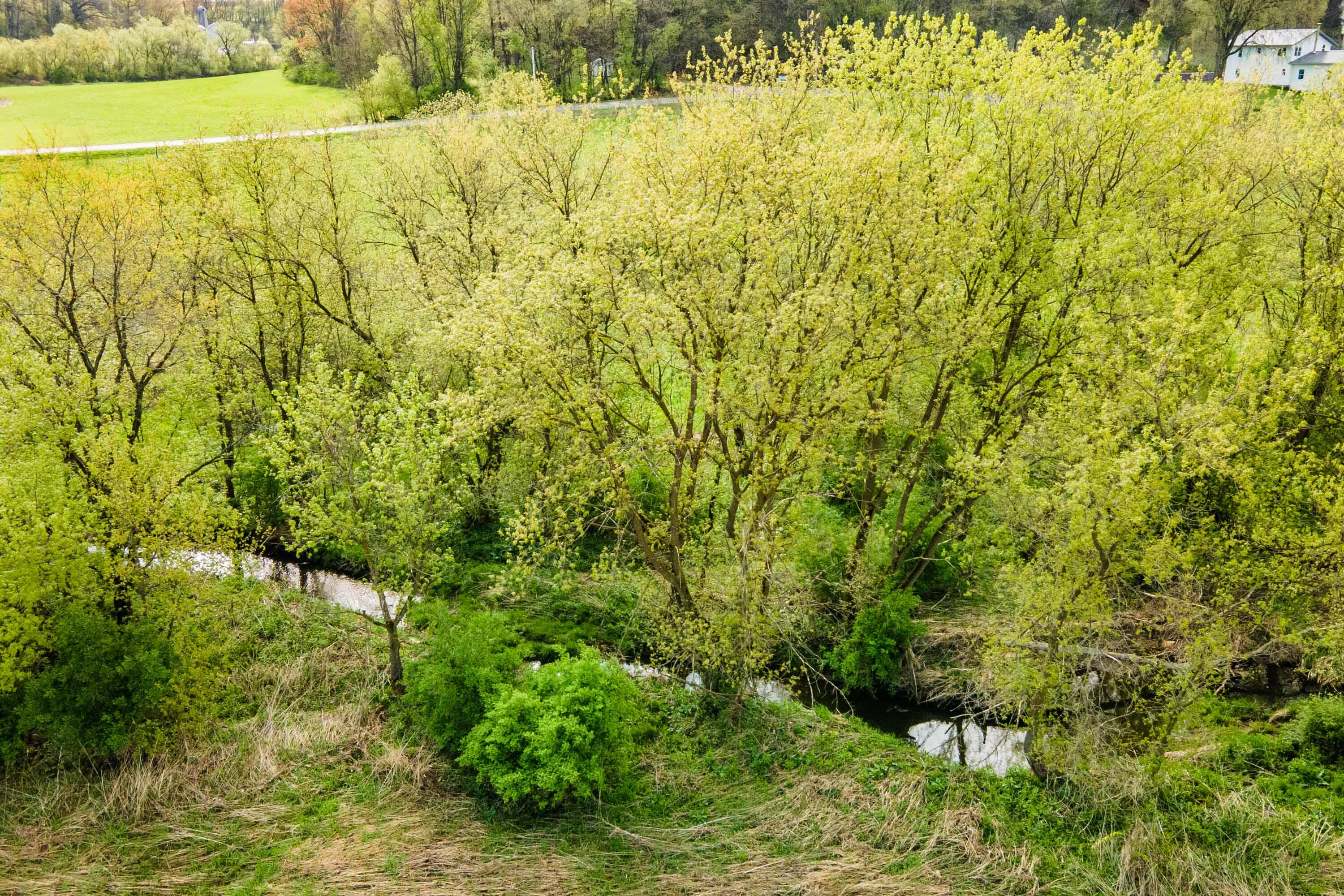 Lt0 Eli Valley Road Hillpoint, WI 53937 - Photo 8 of 29 Sauk-County-WI-17-Acres-Land-For-Sale-7