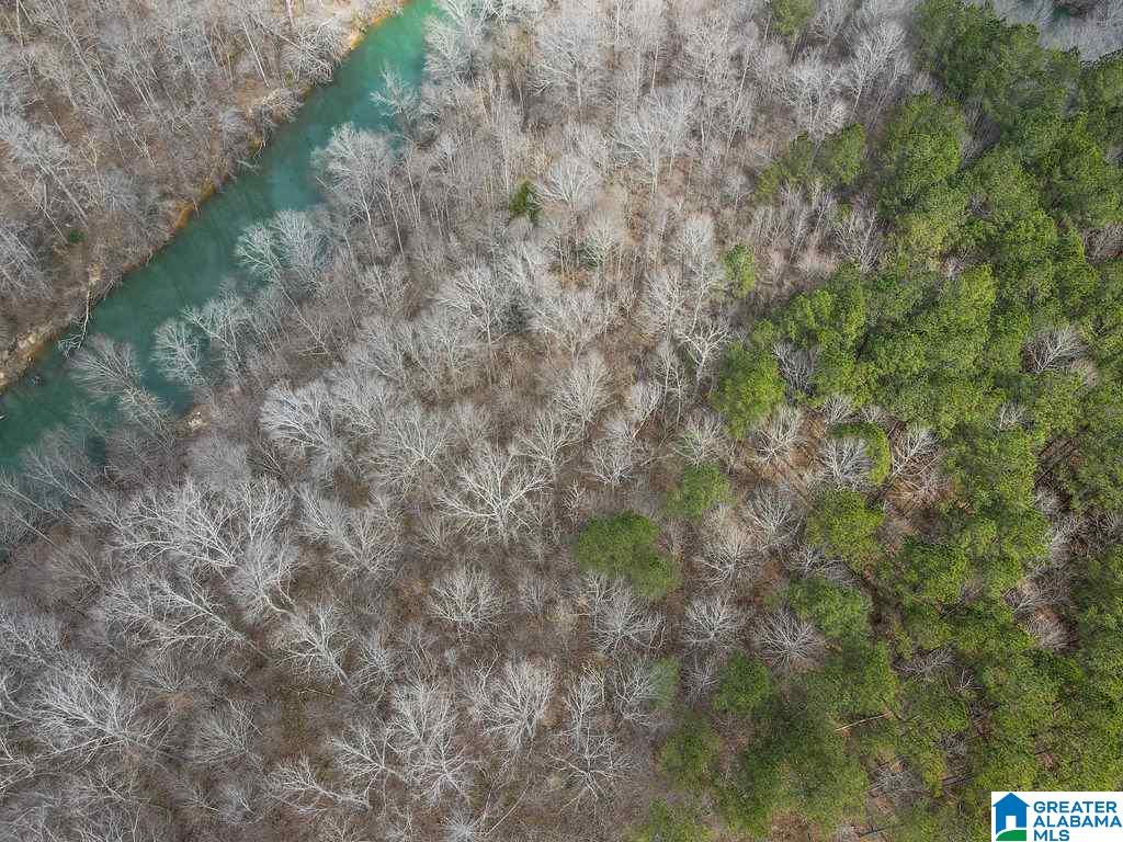 Lot #8 Turkey Bend Drive, Unit 8 Addison, AL 35540 - Photo 2 of 13