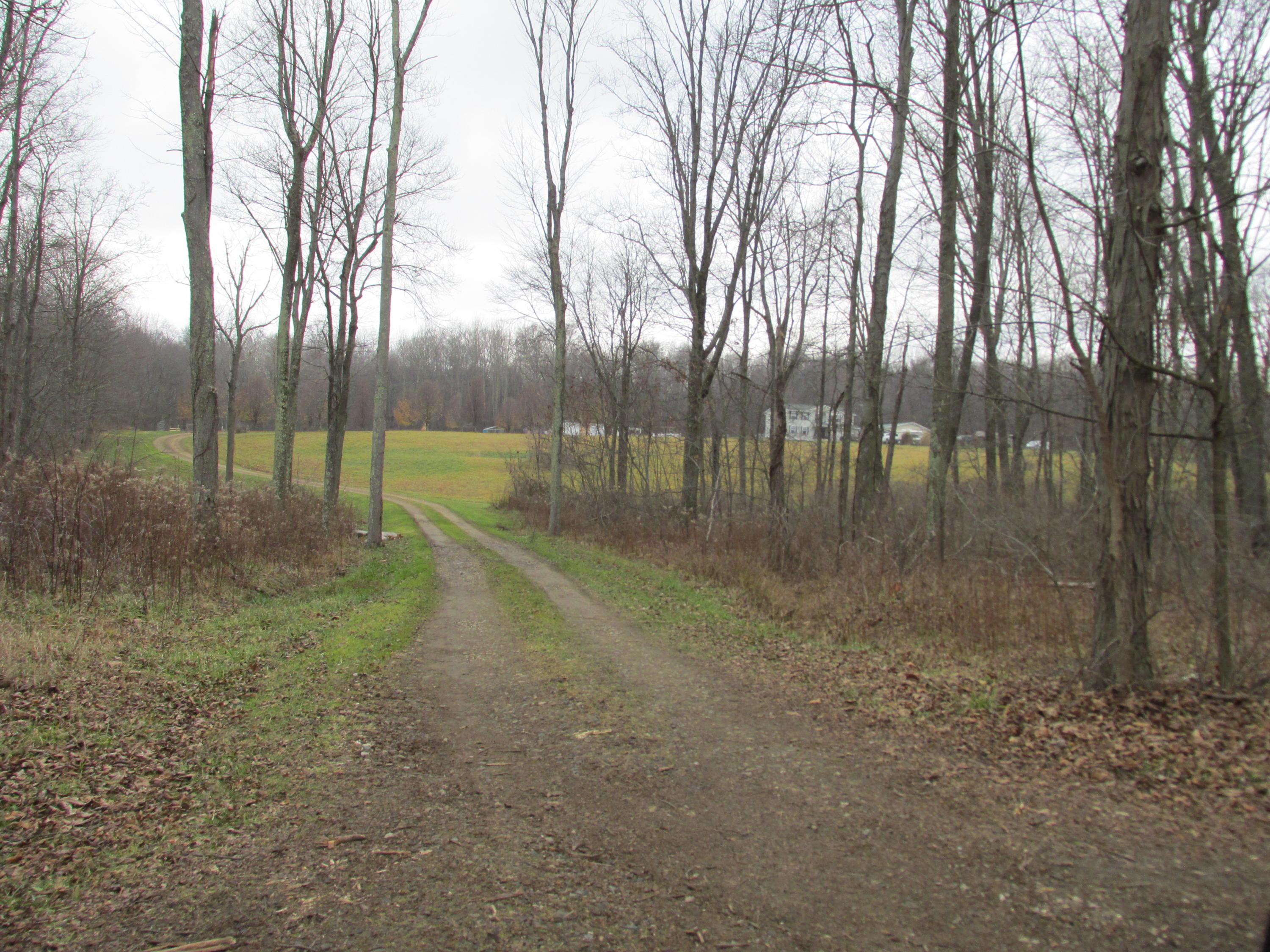 21737 Jefferson Road Danville, OH 43014 - Photo 2 of 29