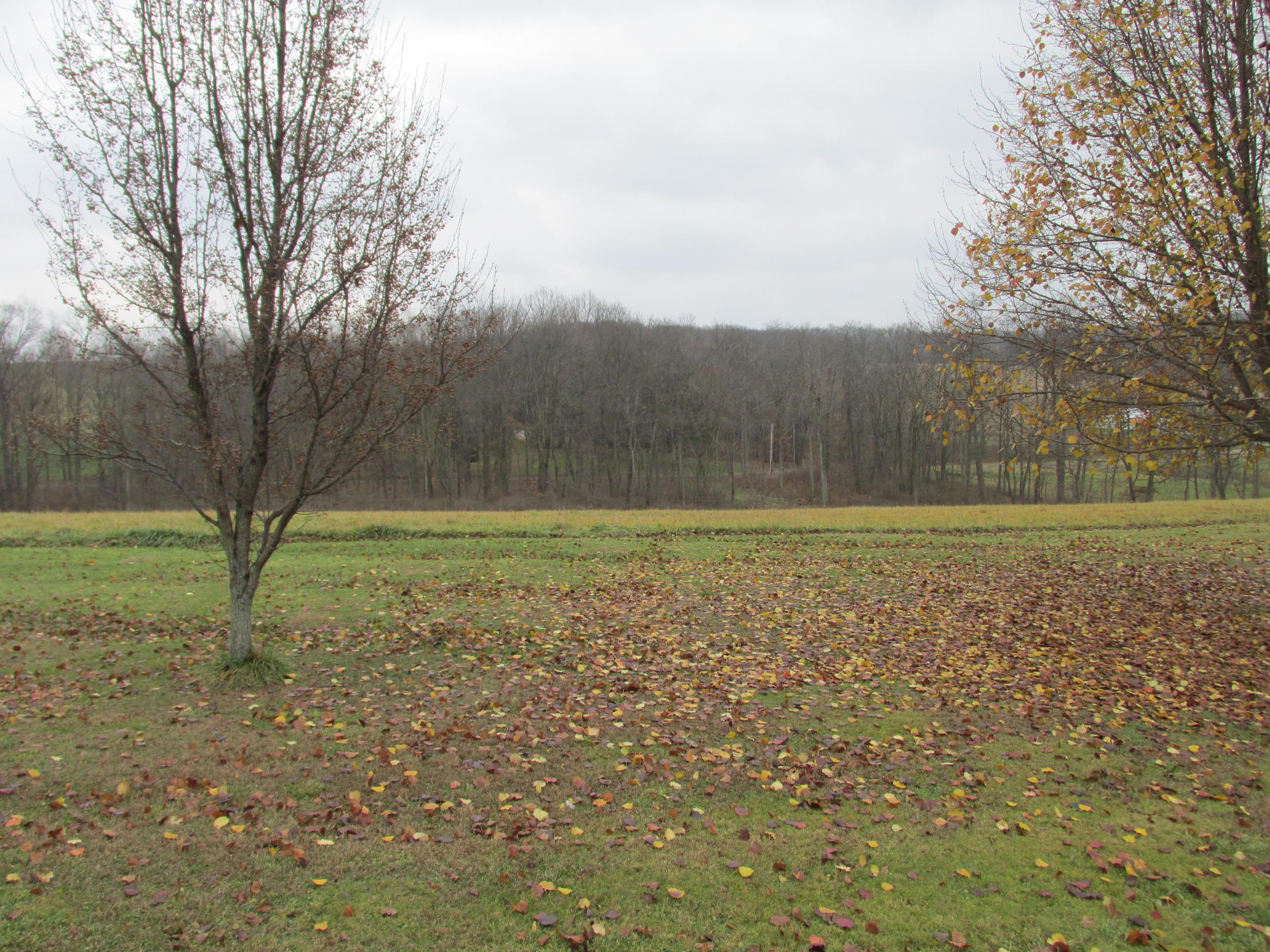 21737 Jefferson Road Danville, OH 43014 - Photo 27 of 29