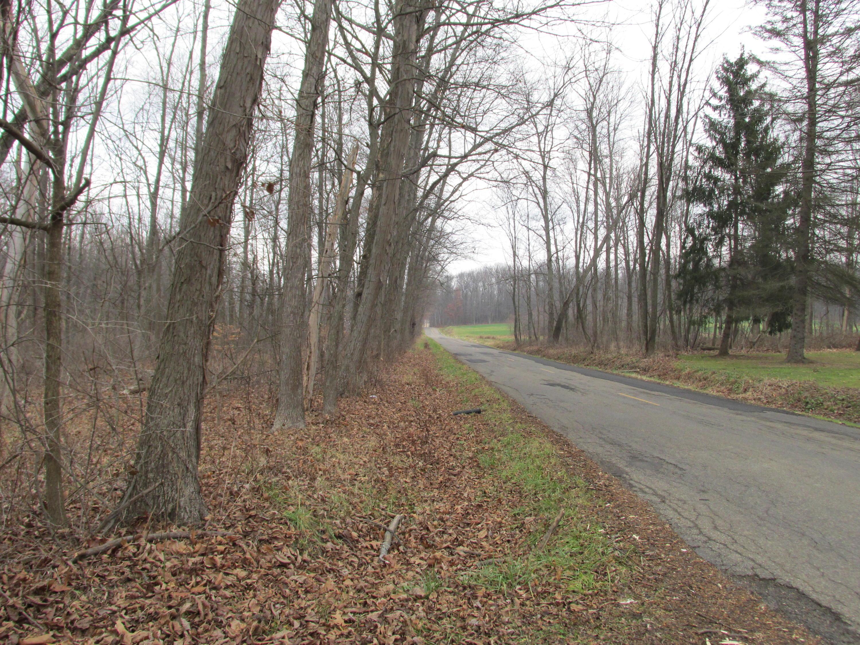 21737 Jefferson Road Danville, OH 43014 - Photo 29 of 29