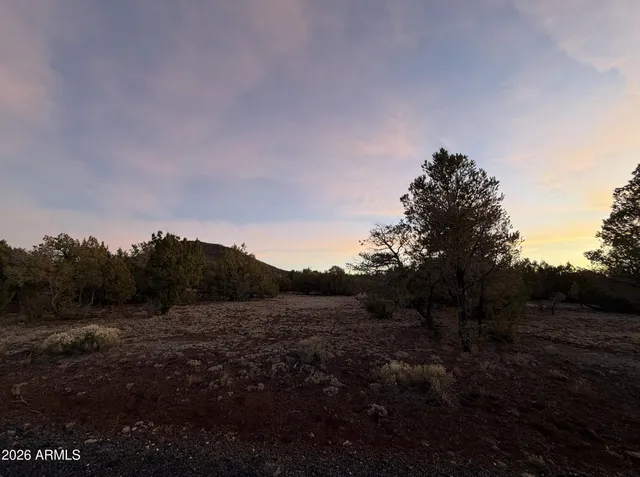 a view of a field of grass and trees