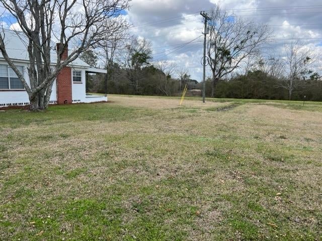 29358 Beulah Church Road Opp, AL 36467 - Photo 39 of 50 Gallery Image 39