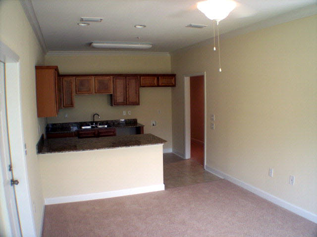 22678 Canal Road, Unit 3 Orange Beach, AL 36561 - Photo 3 of 10 Kitchen 1