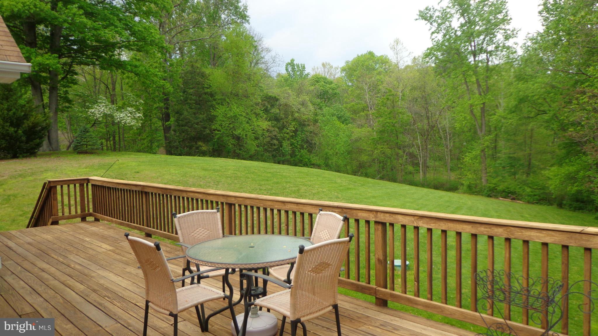 12360 Robin Road Culpeper, VA 22701 - Photo 21 of 28 Exterior (Rear)