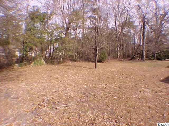 606 Bluebird Lane Murrells Inlet, SC 29576 - Photo 22 of 23 Gallery Image 22
