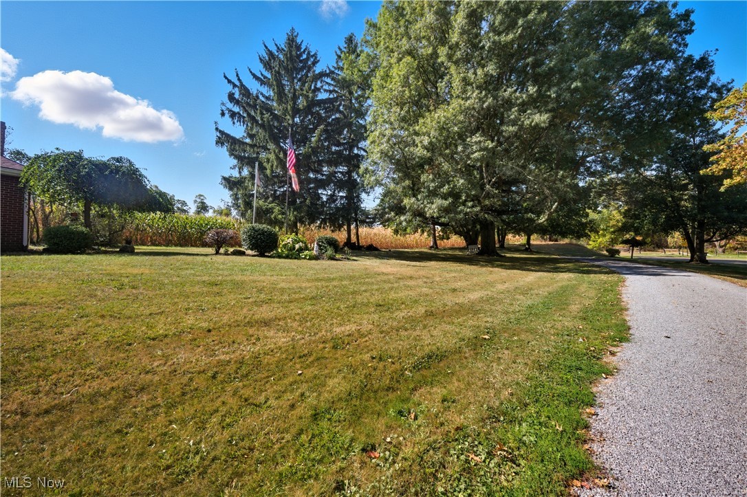 31085 Georgetown Road Salem, OH 44460 - Photo 42 of 50 View of green lawn