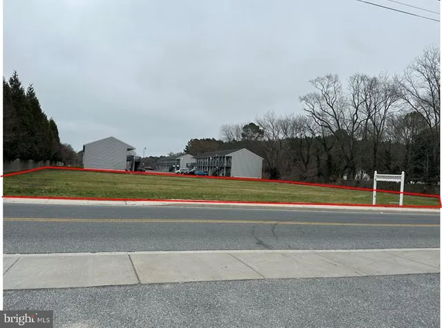 a view of a tennis ground with large trees