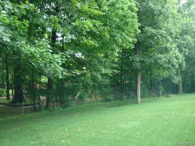 3627 Joshua Drive Rochester, MI 48307 - Photo 5 of 29 Back Yard.jpg