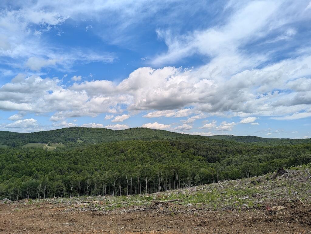 a view of a lake with a big yard