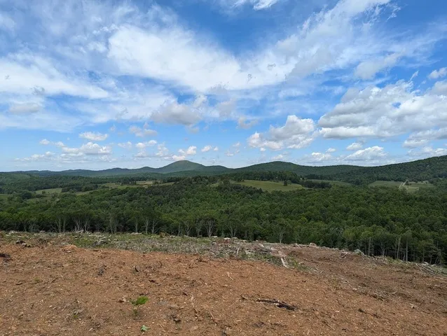 a view of a backyard of a house