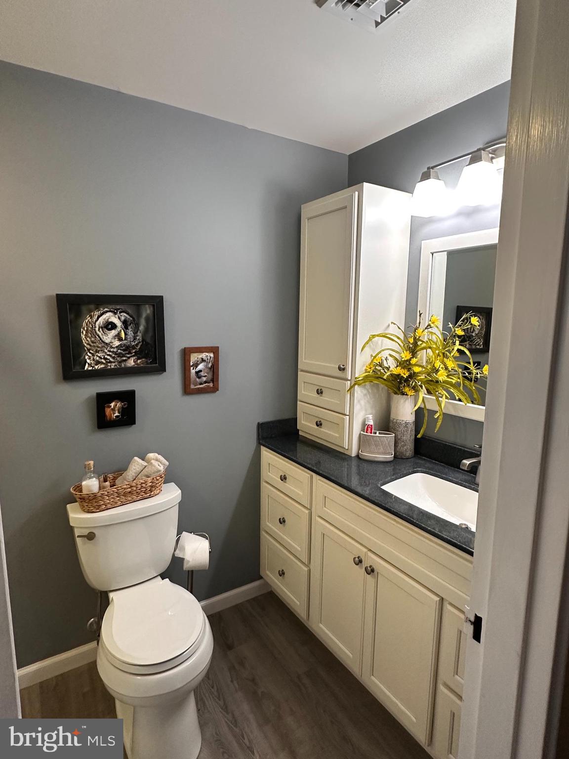 314 Valleybrook Drive Lancaster, PA 17601 - Photo 12 of 19 a bathroom with a toilet a sink and a mirror