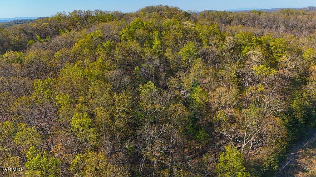 814 Frank Jones Road Johnson City, TN 37601 - Photo 13 of 18 DJI_20260409173913_0274_D