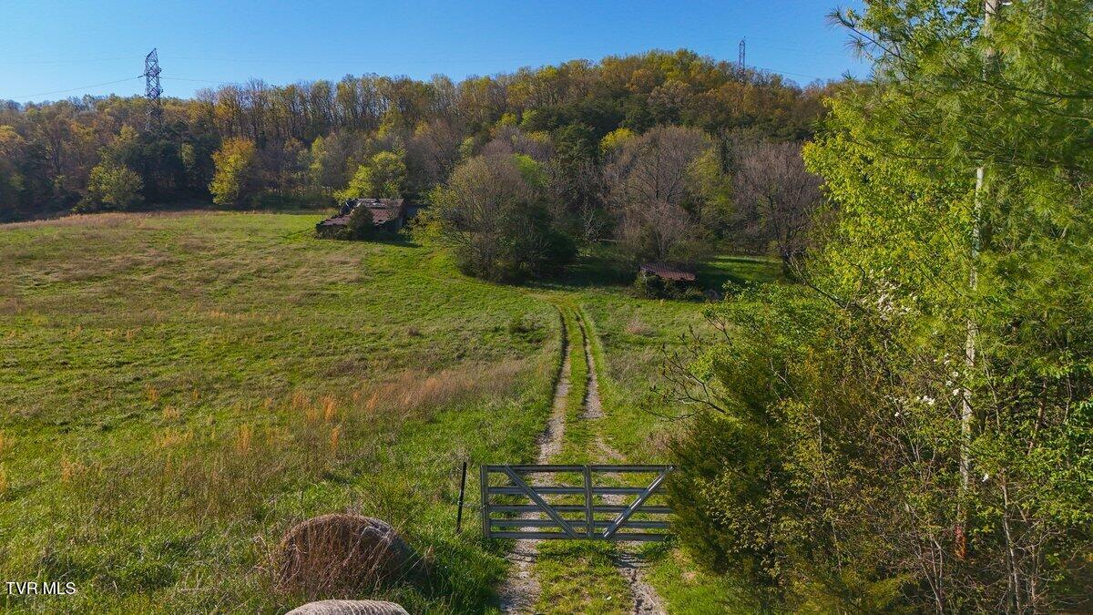 814 Frank Jones Road Johnson City, TN 37601 - Photo 9 of 18 DJI_20260409173540_0270_D