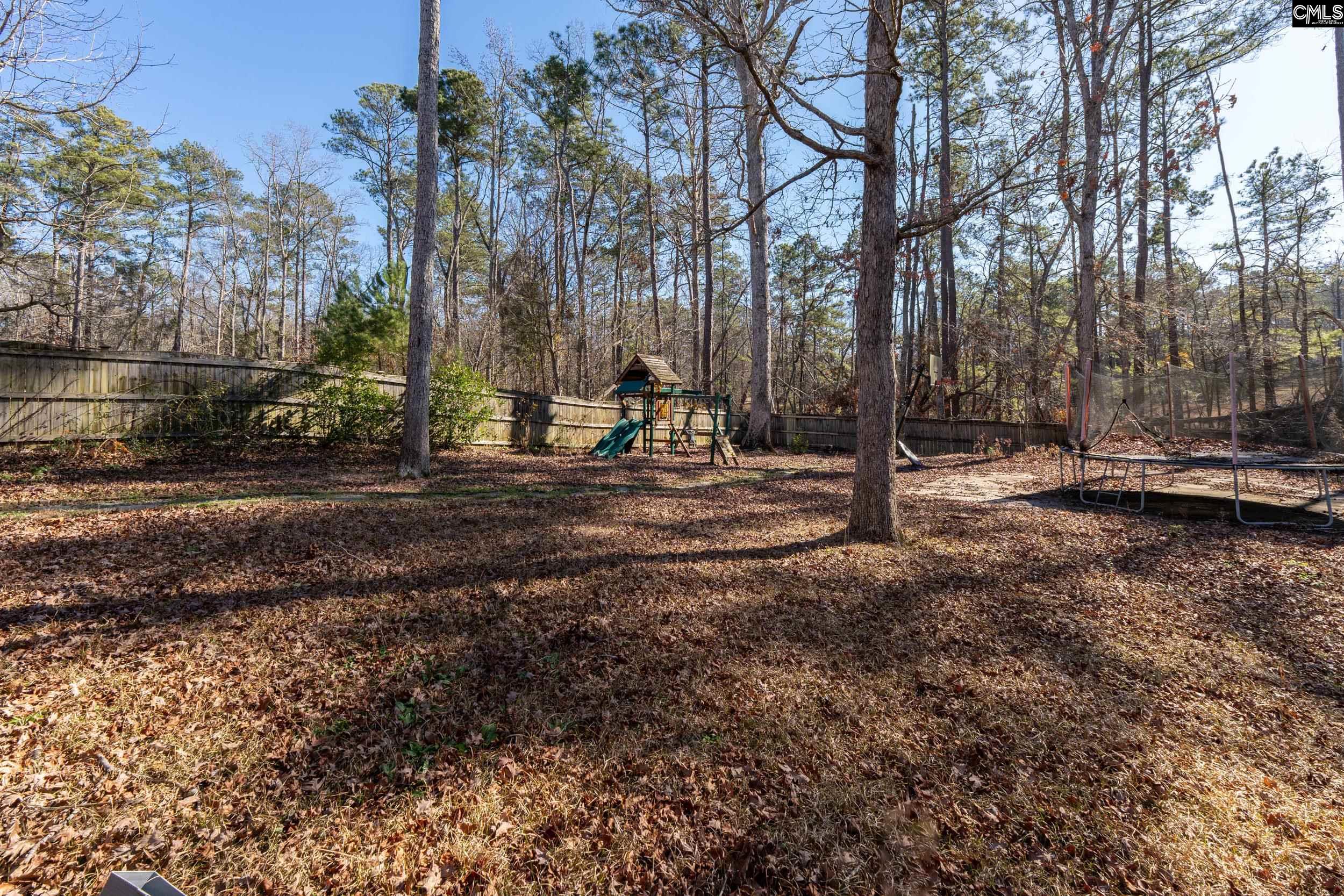 40 Wading Bird Loop Blythewood, SC 29016 - Photo 22 of 26 a view of park with large trees