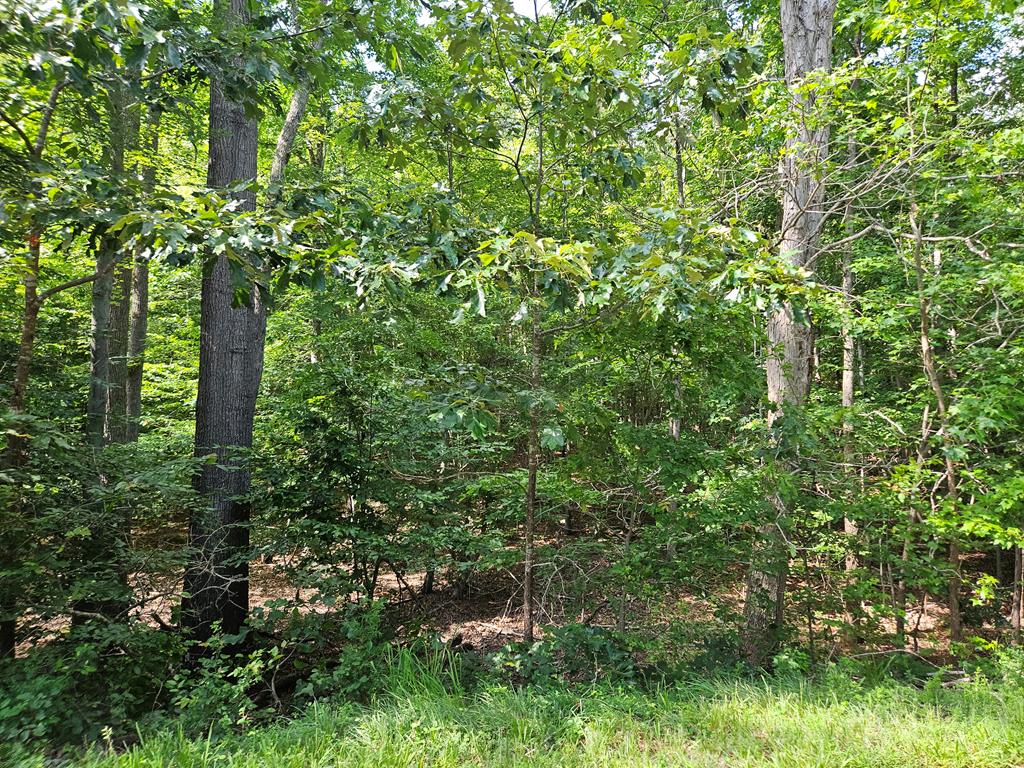 Twin Bridges Road Green Bay, VA 23942 - Photo 8 of 10 Gallery Image 8