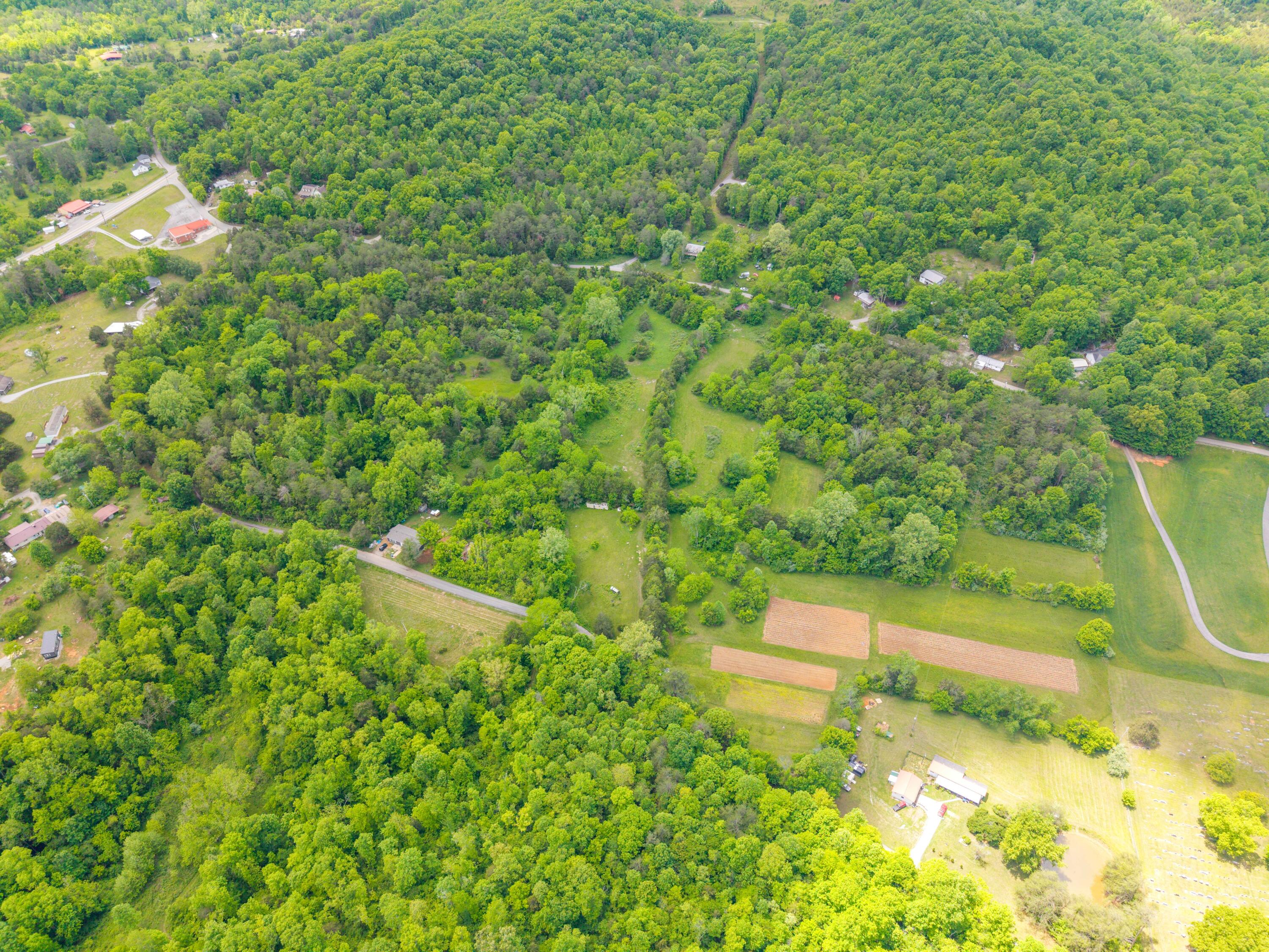 0 Sloans Valley Road Burnside, KY 42519 - Photo 23 of 38 Sloan Valley Land Photo-23