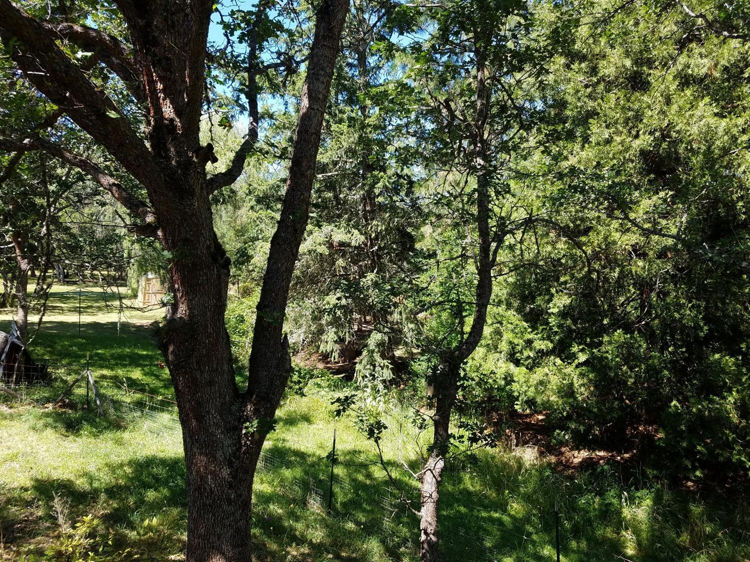 1851 Alta Vista Road Eagle Point, OR 97524 - Photo 15 of 18 Additional Photo