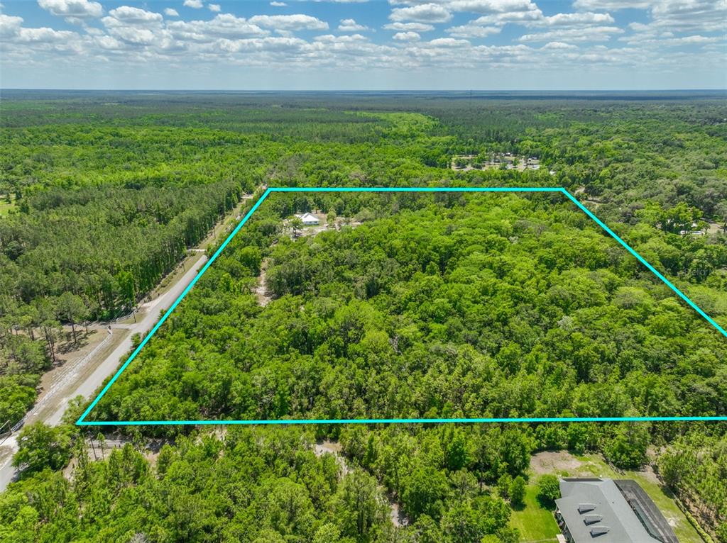 1370 Buckles Road Pierson, FL 32180 - Photo 52 of 57 a view of a yard