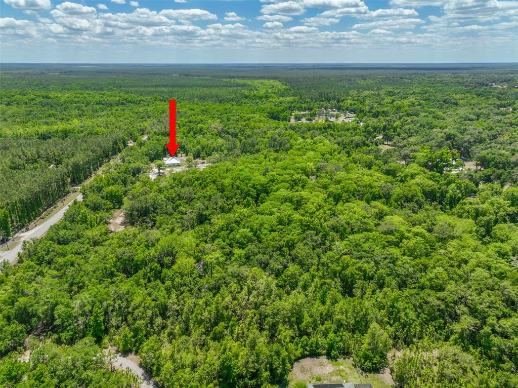 1370 Buckles Road Pierson, FL 32180 - Photo 53 of 57 a view of yard with green space
