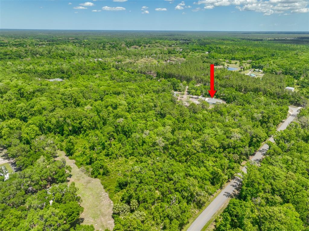 1370 Buckles Road Pierson, FL 32180 - Photo 55 of 57 a view of a field with an outdoor space