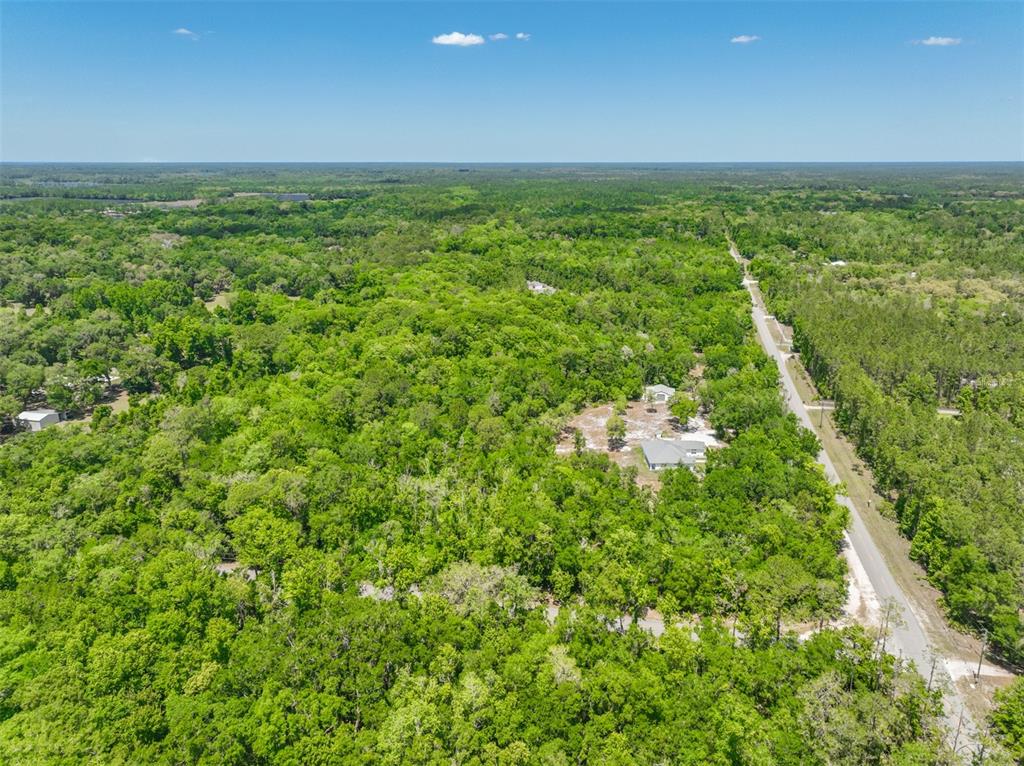1370 Buckles Road Pierson, FL 32180 - Photo 56 of 57