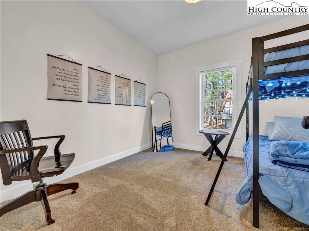 741 Pine Ridge Road Beech Mountain, NC 28604 - Photo 16 of 27