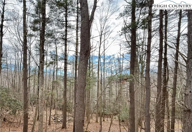 $420,000 | 741 Pine Ridge Road, Beech Mountain, NC 28604