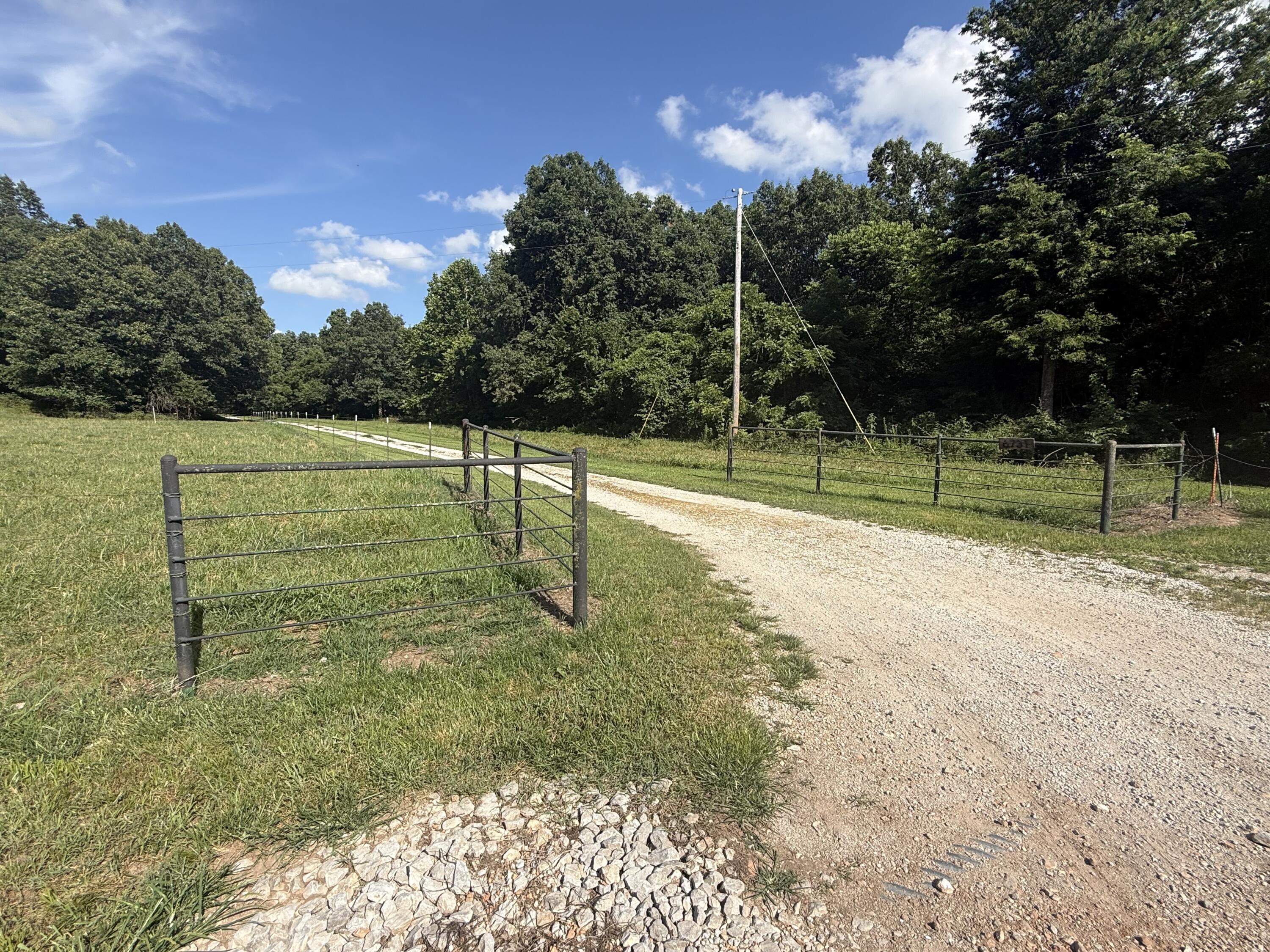 6731 Raccoon Road Pierce City, MO 65723 - Photo 54 of 99 IMG_9481