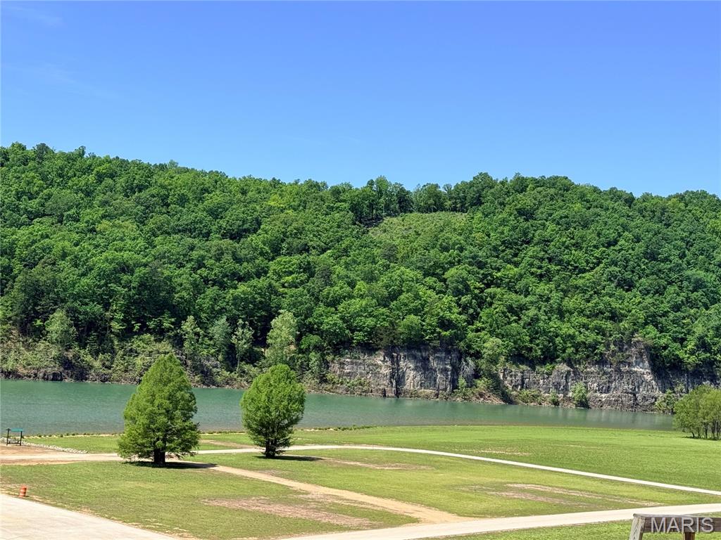 54 Shannon Road Piedmont, MO 63957 - Photo 26 of 26