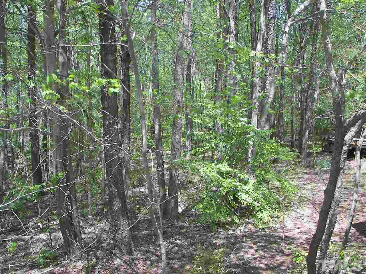 7519 New Sharon Church Road Rougemont, NC 27572 - Photo 3 of 25