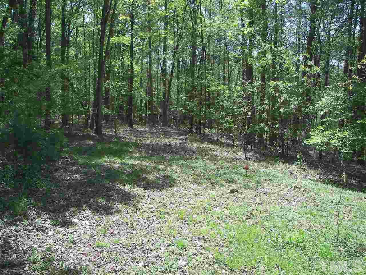 7519 New Sharon Church Road Rougemont, NC 27572 - Photo 4 of 25