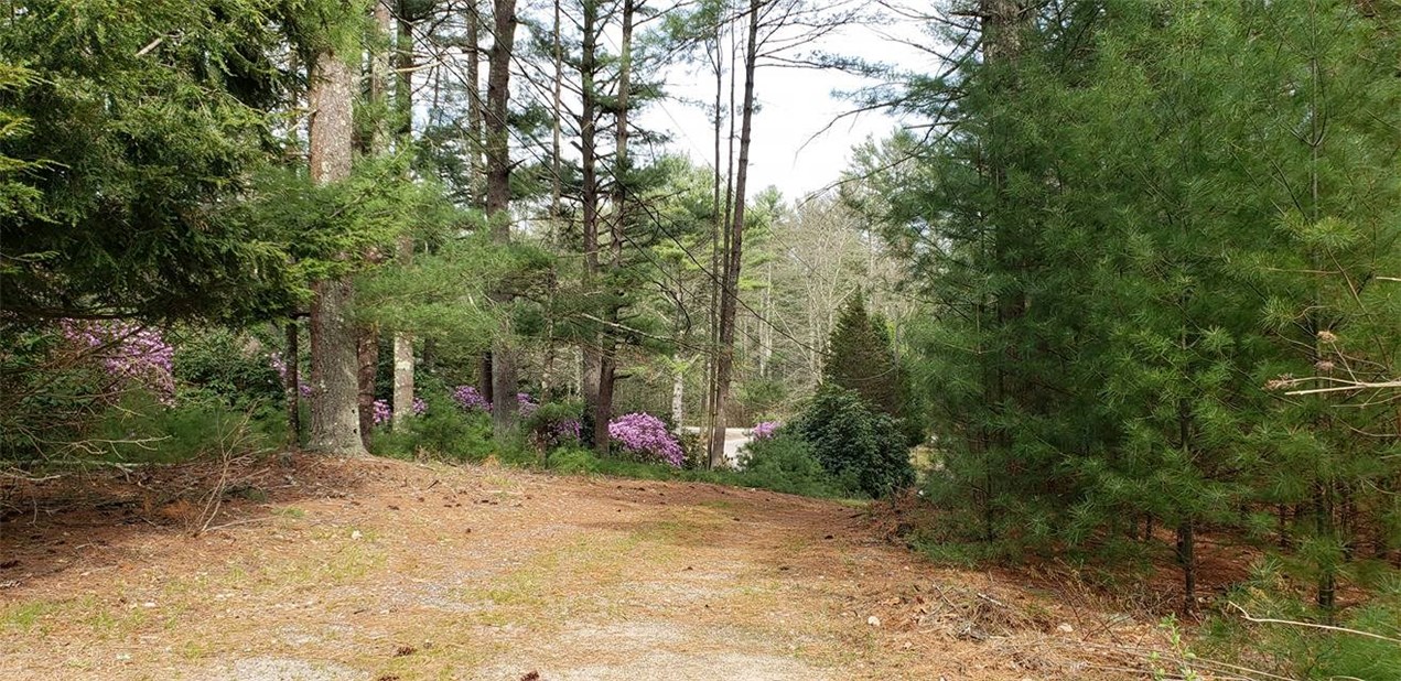 24 Sandy Pond Road Richmond, RI 02832 - Photo 3 of 9