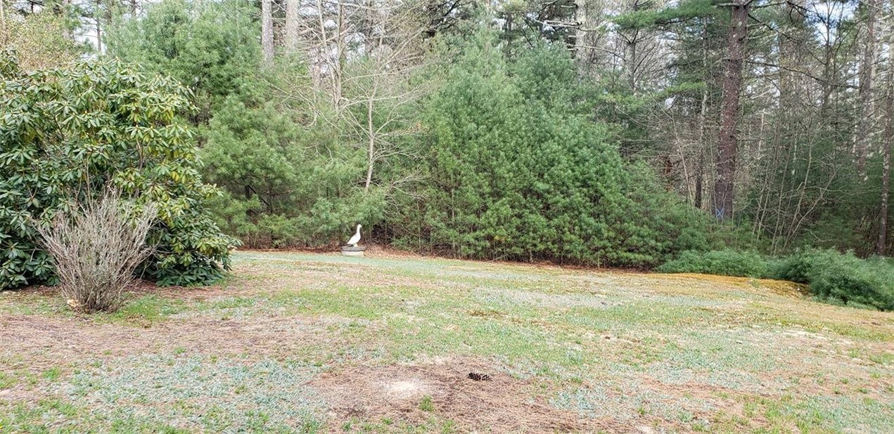 24 Sandy Pond Road Richmond, RI 02832 - Photo 4 of 9