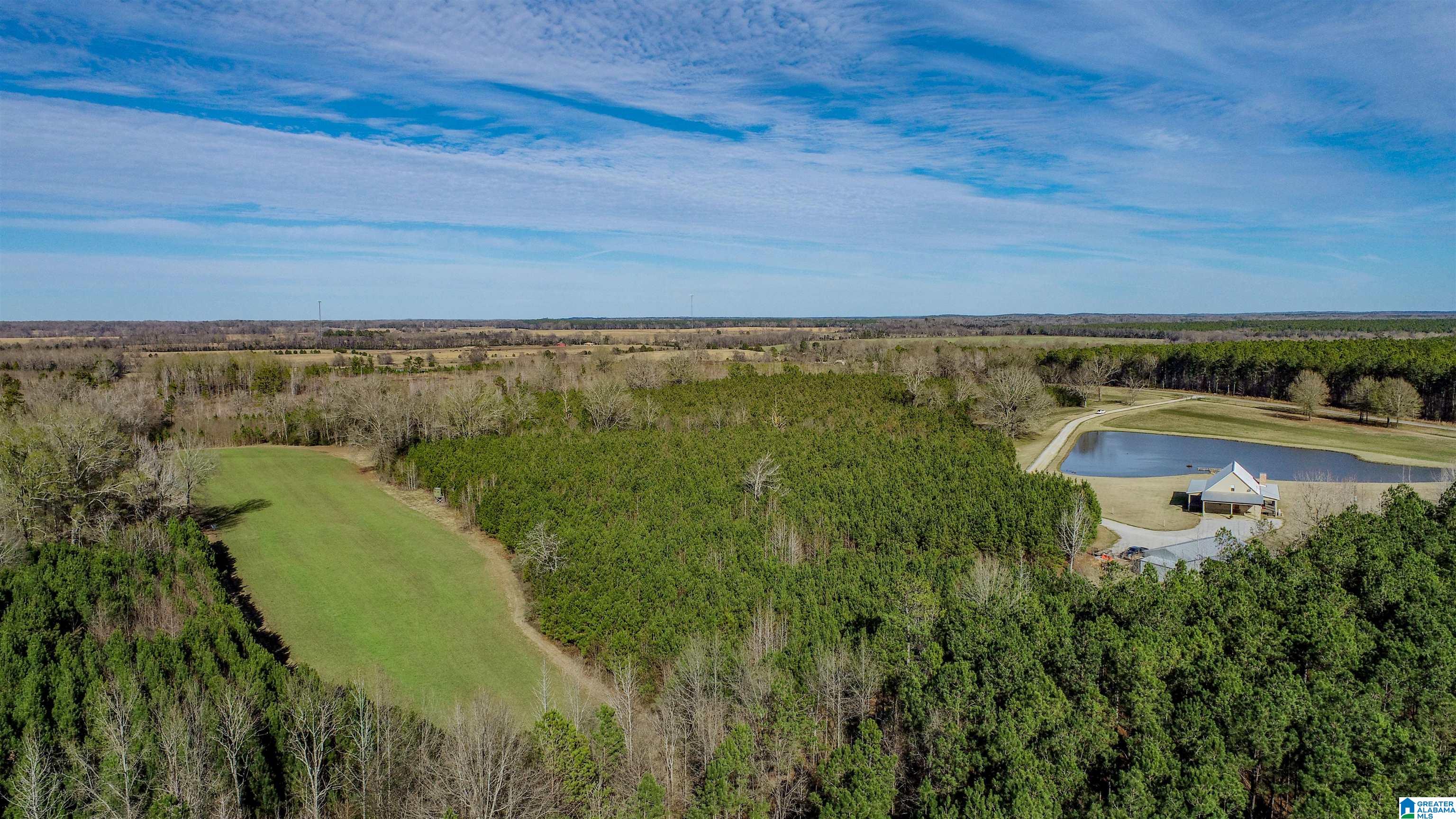8619 County Road 33 Linden, AL 36748 - Photo 16 of 54