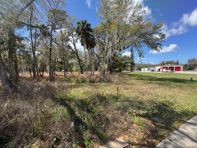 Wallace Road New Smyrna Beach, FL 32168 - Photo 3 of 7