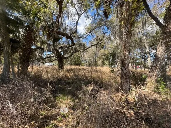 $225,000 | Wallace Road, New Smyrna Beach, FL 32168
